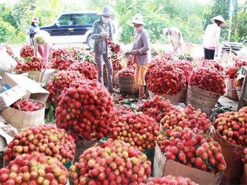 Đảm bảo nguồn vốn để phát triển kinh tế - xã hội vùng Đồng bằng sông Cửu Long - ảnh 1